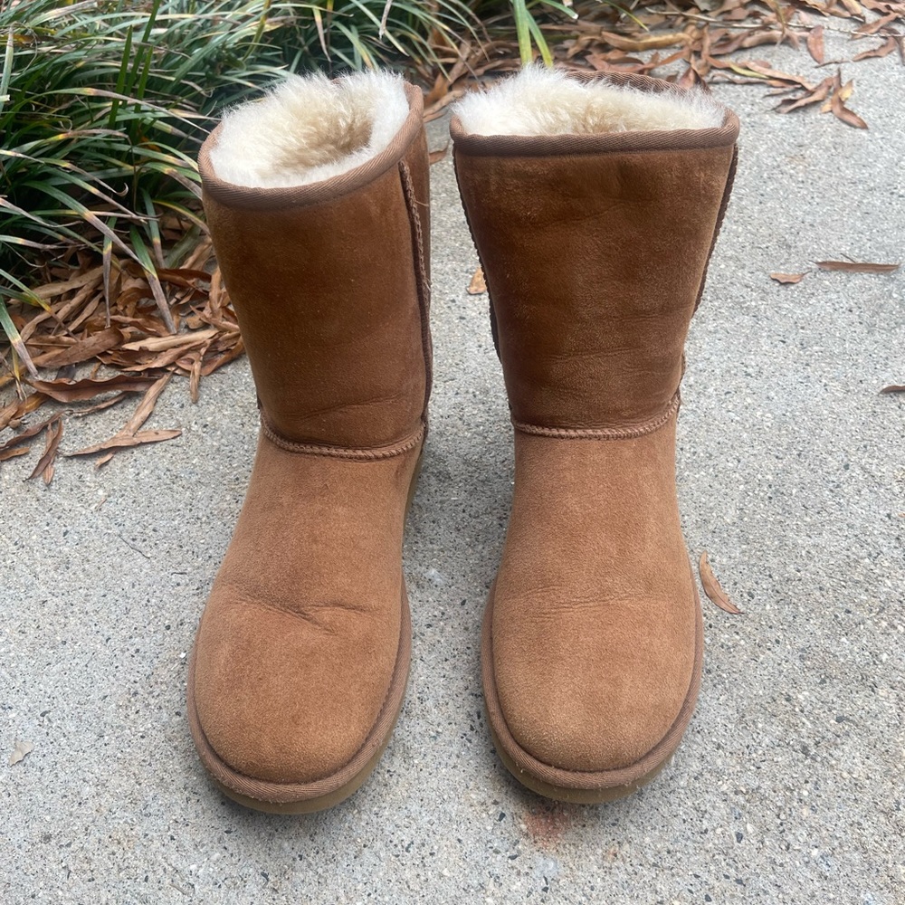 Ugg classic short boot in chestnut